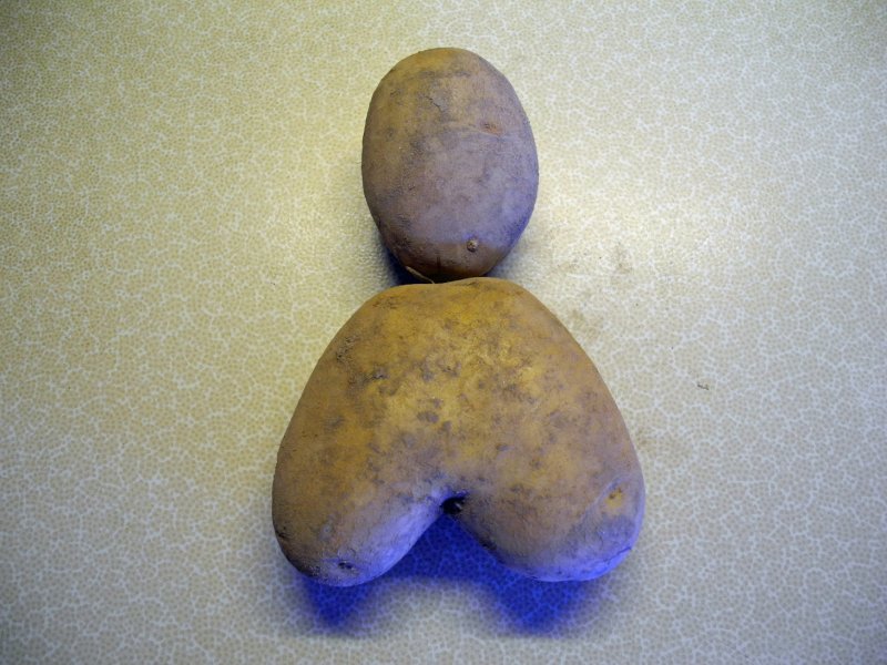 Kartoffelmännchen