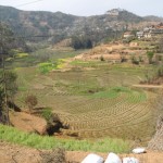 Landwirtschaft in Nepal